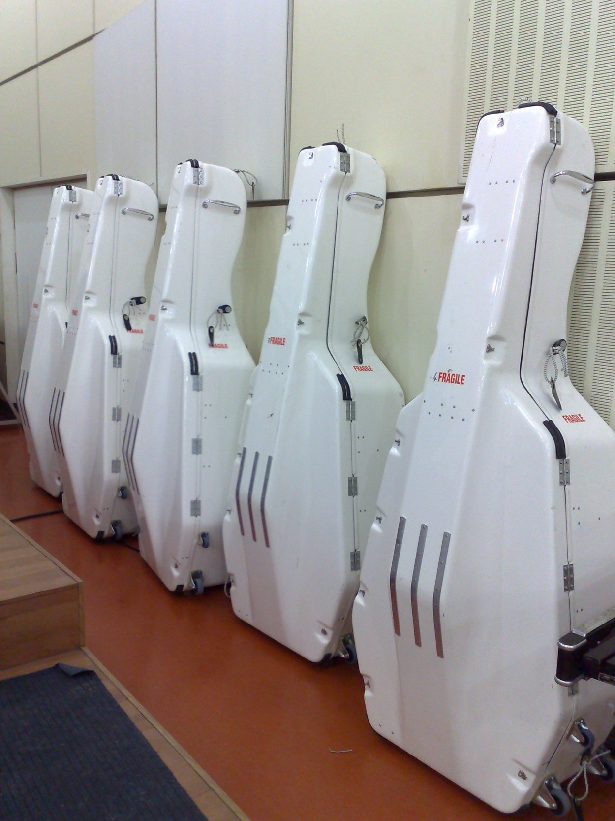 Βιόλες σε συσκευασία