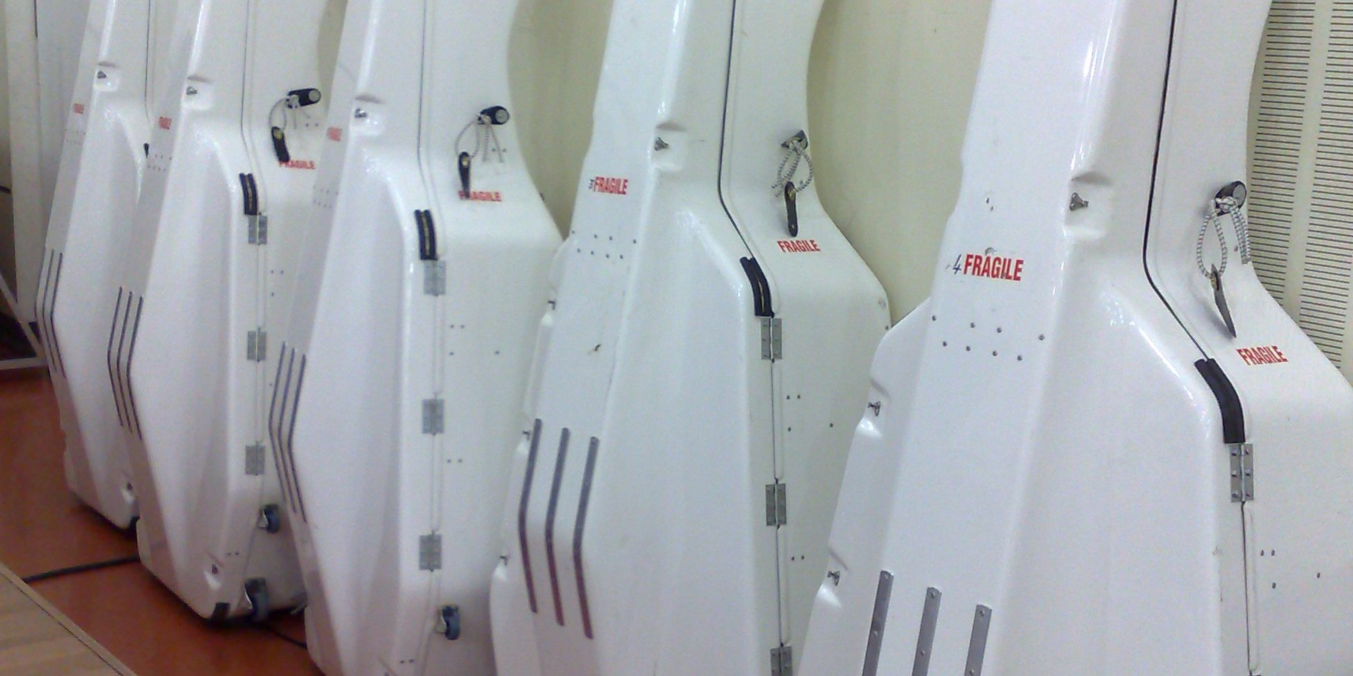 Βιόλες σε συσκευασία