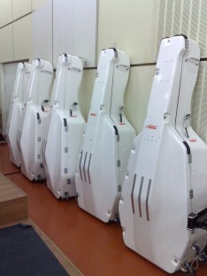 Βιόλες σε συσκευασία