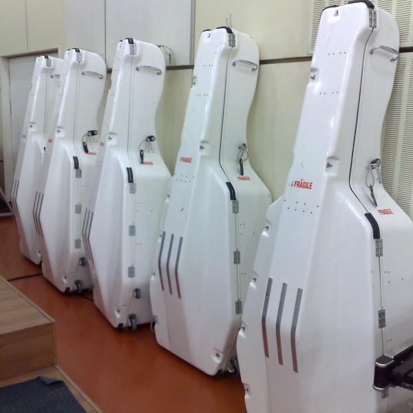 Βιόλες σε συσκευασία