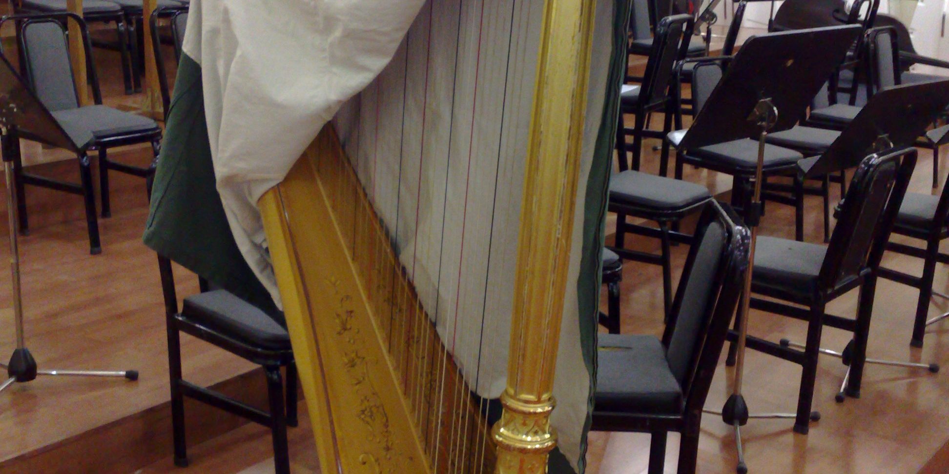 Μεταφορά βιόλας