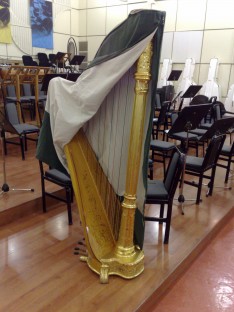 Μεταφορά βιόλας