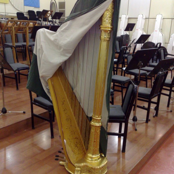 Μεταφορά βιόλας