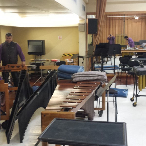 Μουσικά ορχηστρικά όργανα